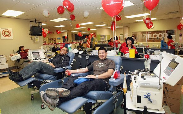 Blood donors in New Zealand