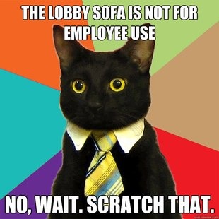 A Business Cat meme.
